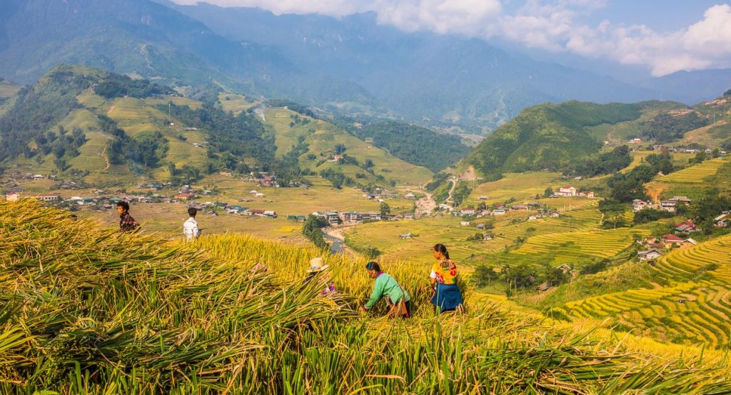 Sapa Vietnam Travel Bug