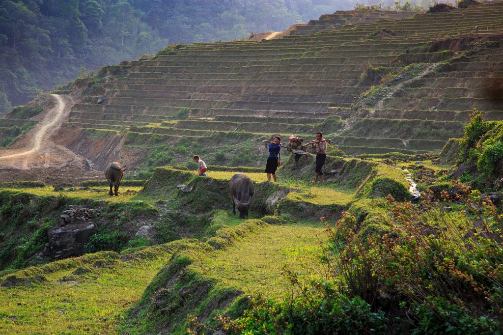 Nature Sapa Vietnam